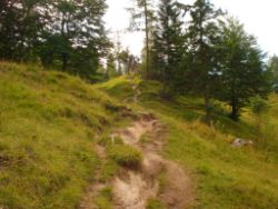 2013-08-17_Wettersteinhuette _Regina-F-Rau (028).JPG